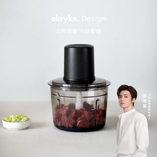 olayks立时绞肉机家用电动小型多功能全自动搅拌机碎肉打馅蒜泥机
