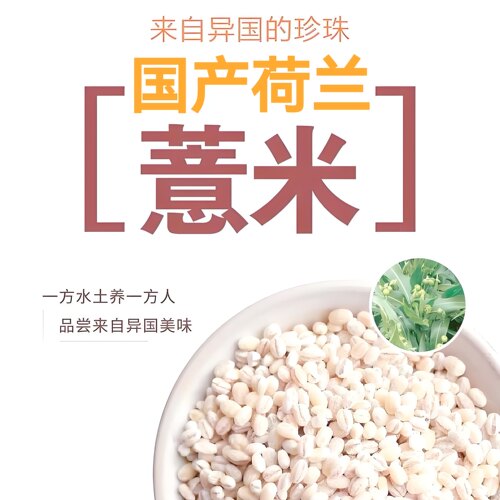软糯Q荷兰薏米水冬瓜薏米水祛湿