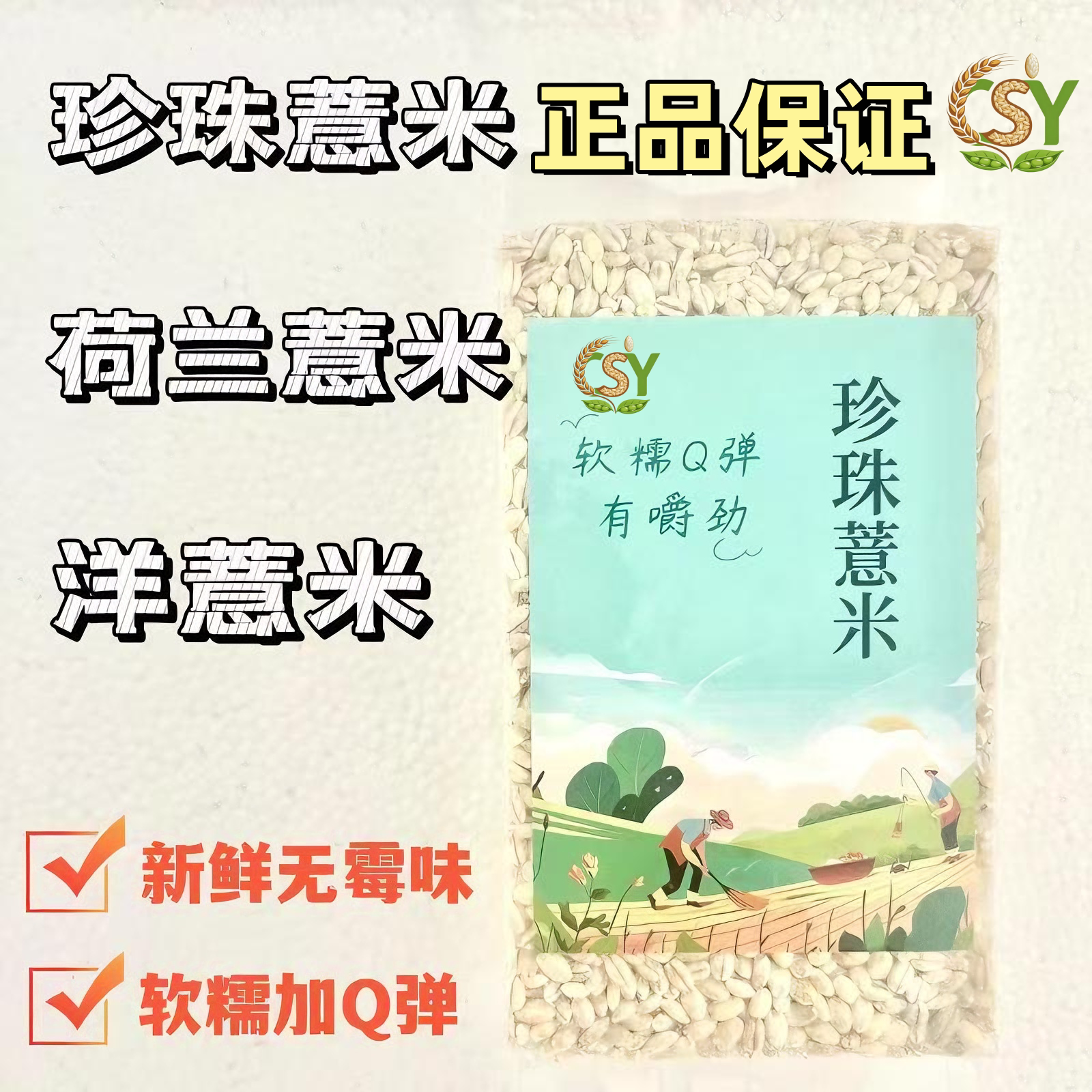 洋薏米荷兰薏米珍珠薏米小薏米小薏苡仁冬软糯Q弹新鲜冬瓜薏米水
