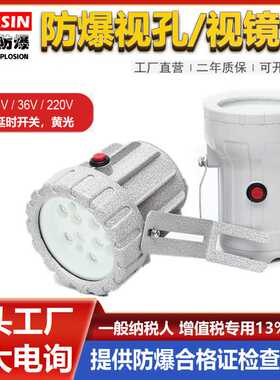 LED视孔灯5W20W防爆内视灯AC220v24v36V化学反应釜视镜灯三防灯