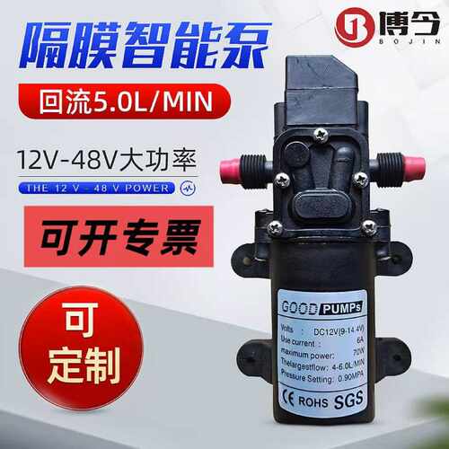 CE现货12V72W隔膜智能泵洗车器智能回流泵70W微型泵FCC压力隔膜泵