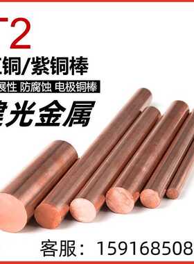 直销Cu-ETP-R230 Cu-ETP-R260无氧铜棒 紫铜棒 铜棒异型棒方棒