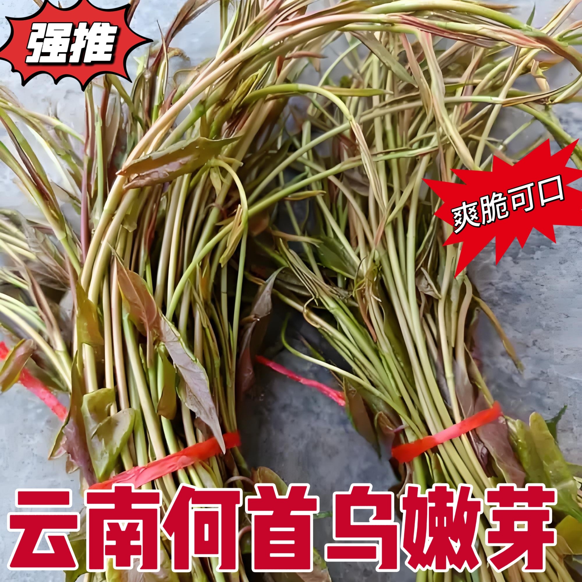 云南新鲜何首乌嫩芽何首乌嫩叶吃货炒菜凉拌山毛野菜何首乌嫩尖
