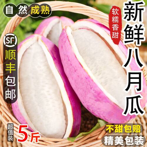 云贵高山八月瓜新鲜现摘八月炸野香蕉软糯香甜应季特产水果顺丰