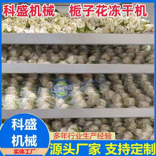 奶酪真空冷冻干燥机 栀子花冻干机 无花果玫瑰花真空冻干机设备