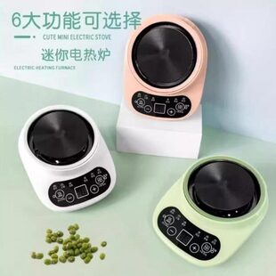 小号便携式 迷你mini小尺寸型旅行 个人电热电磁炉单人炉超小锅一