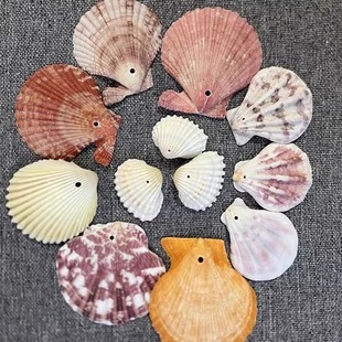 天然海螺贝壳打孔手工diy制作风铃头饰贝壳项链工艺品活动签到墙