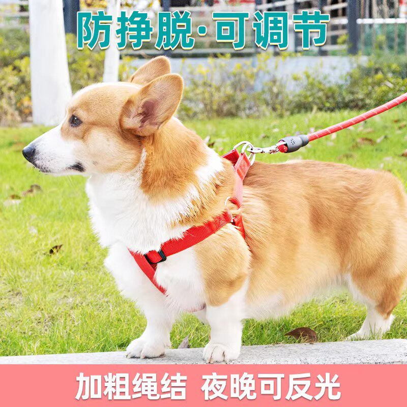狗狗牵引绳带胸背项圈不勒手狗绳子泰迪金毛宠物中小大型犬狗链子
