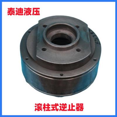 ZSY160 ZSY180滚柱式逆止器 配用泰隆 泰星减速机