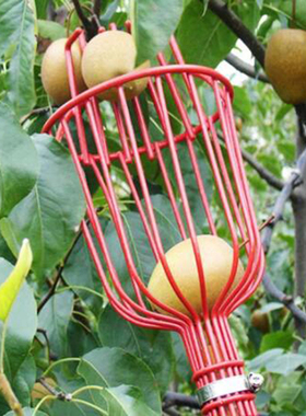新品Aluminum Deep Basket Fruyit Picker Head Convenient Fruit