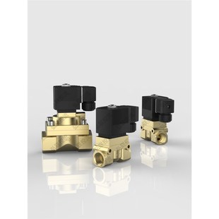 高压电磁阀5404 5231015水阀气阀2分3分4分6分1寸2V20v24高压