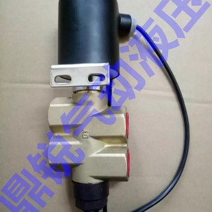 DN20 A102ED DFL24 排泥电磁阀 1寸排泥 DFL2i4