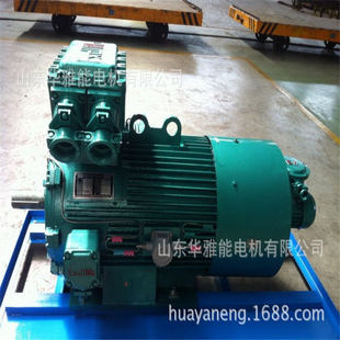 22KW电机IP66防护等级YSF等级B35标准双伸轴415V 50HZ 225M