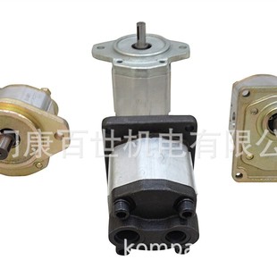 博顿油泵Boden齿轮泵BKP0.5A1D0.38C0L2 BKP0.5A