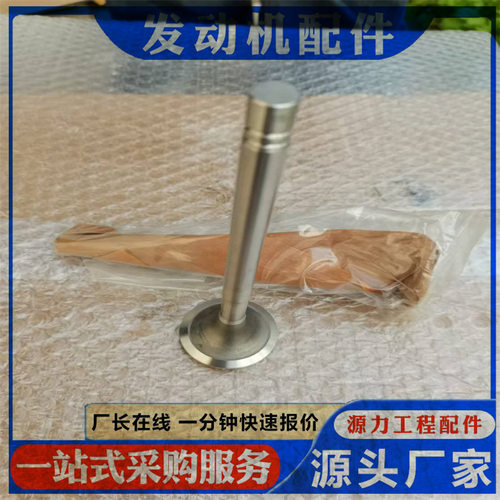 发动机配件NT855 进气门 排气门 135957 145701 3068519 49