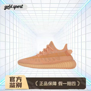 椰子鞋350 运动休闲鞋  特价断码清仓GW2870合肥kk仓
