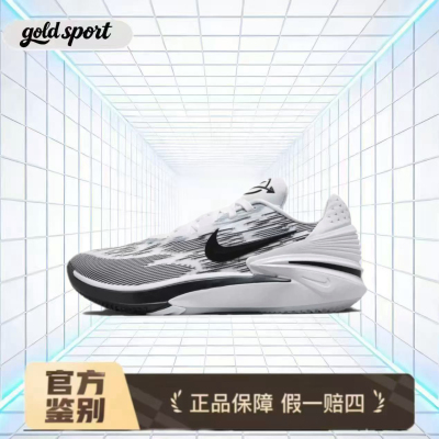 Nike AirZoomG.T.Cut 2篮球鞋 FJ8914-100 断码特价清仓 山东HQ仓