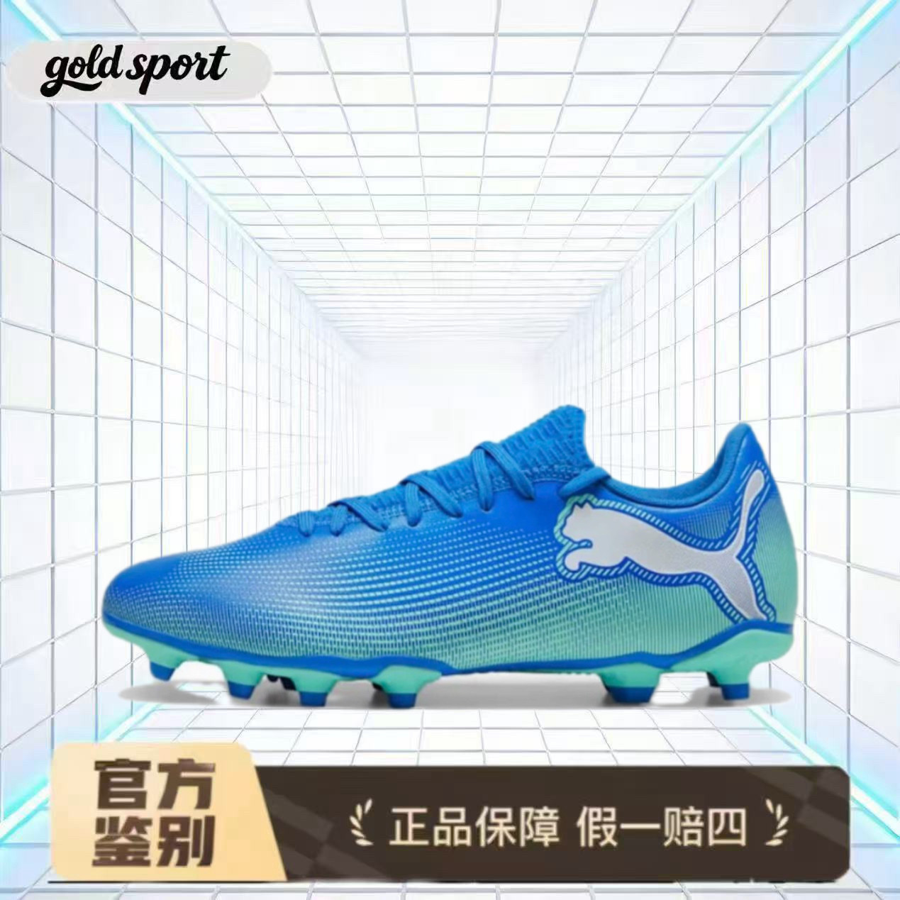 PUMA彪马 训练足球鞋天然草坪钉鞋特价断码 107939-01廊坊ls仓