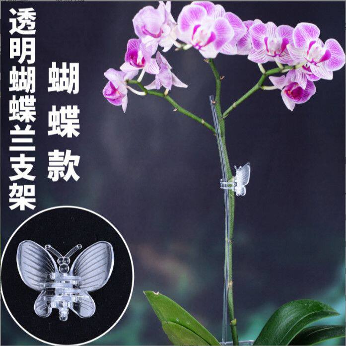蝴蝶状植物固定塑料夹子蝴蝶兰专用花卉夹发夹夹持配件