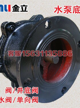 热销H42X-10法兰底阀止回阀 抽水泵吸水底阀DN50 65 80 100 150 2