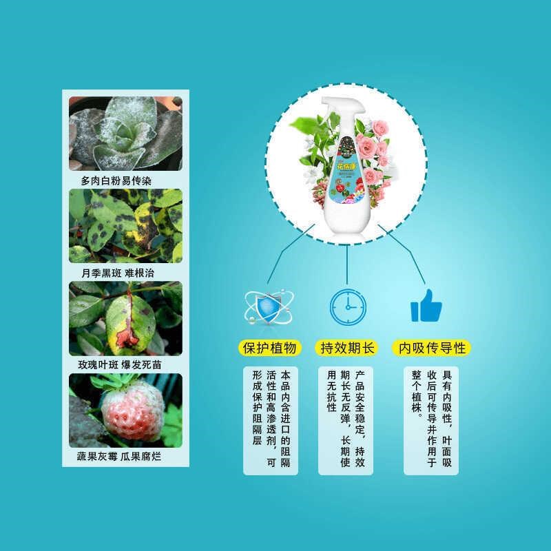 多肉植物通用型免稀释通u用花病康卡纳玛朵黑斑叶斑根腐黑霉病