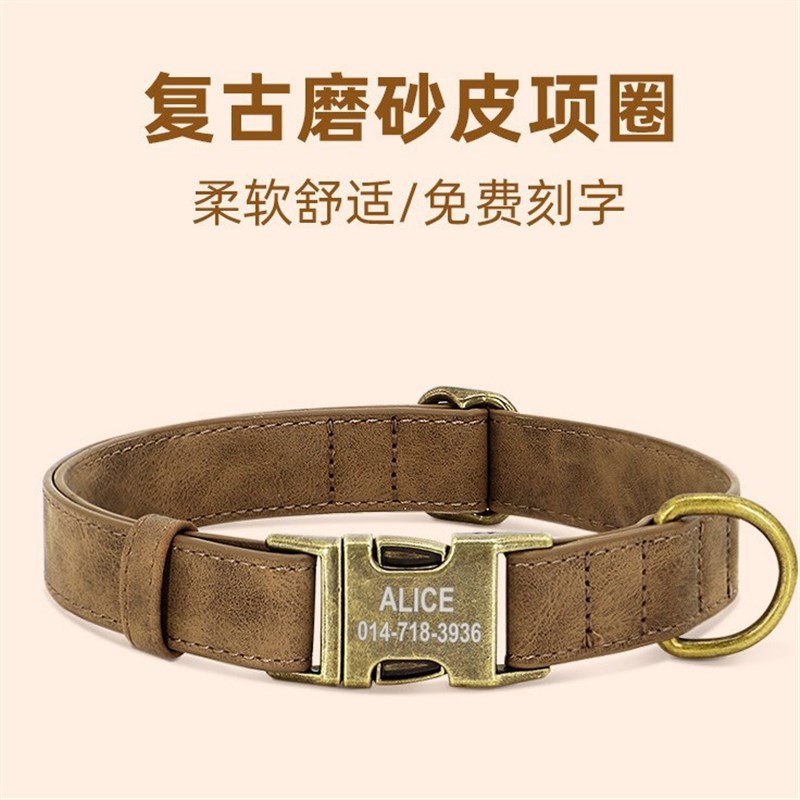 新款拴狗脖圈狗项圈中小型犬泰迪柯基时I髦颈圈狗狗牵引绳狗牌防