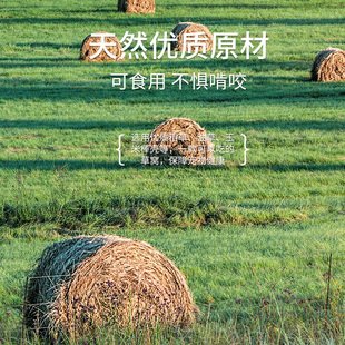 新品兔窝兔子屋草窝兔兔荷兰猪y豚鼠天竺鼠松鼠宠物用品保暖特大