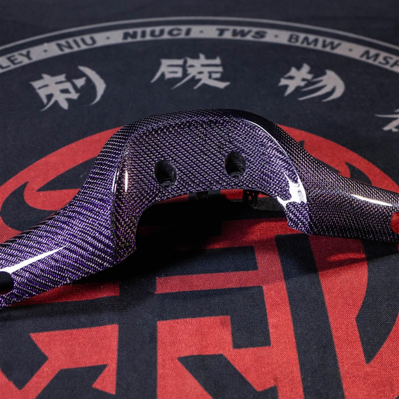 9号电动车原厂改装E200rP E100p系列碳纤维车头紫丝外壳定制防水