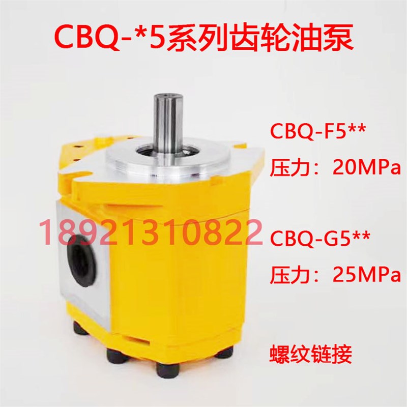 双联齿轮泵CBQT-E563m/F410 F550/F525 F535/F425 -A C F P H L R