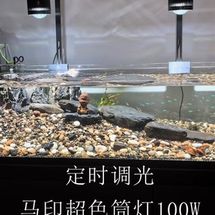 特惠马印超色筒灯神灯全光谱鱼缸LED灯I金鱼原生爆藻增艳定时调光