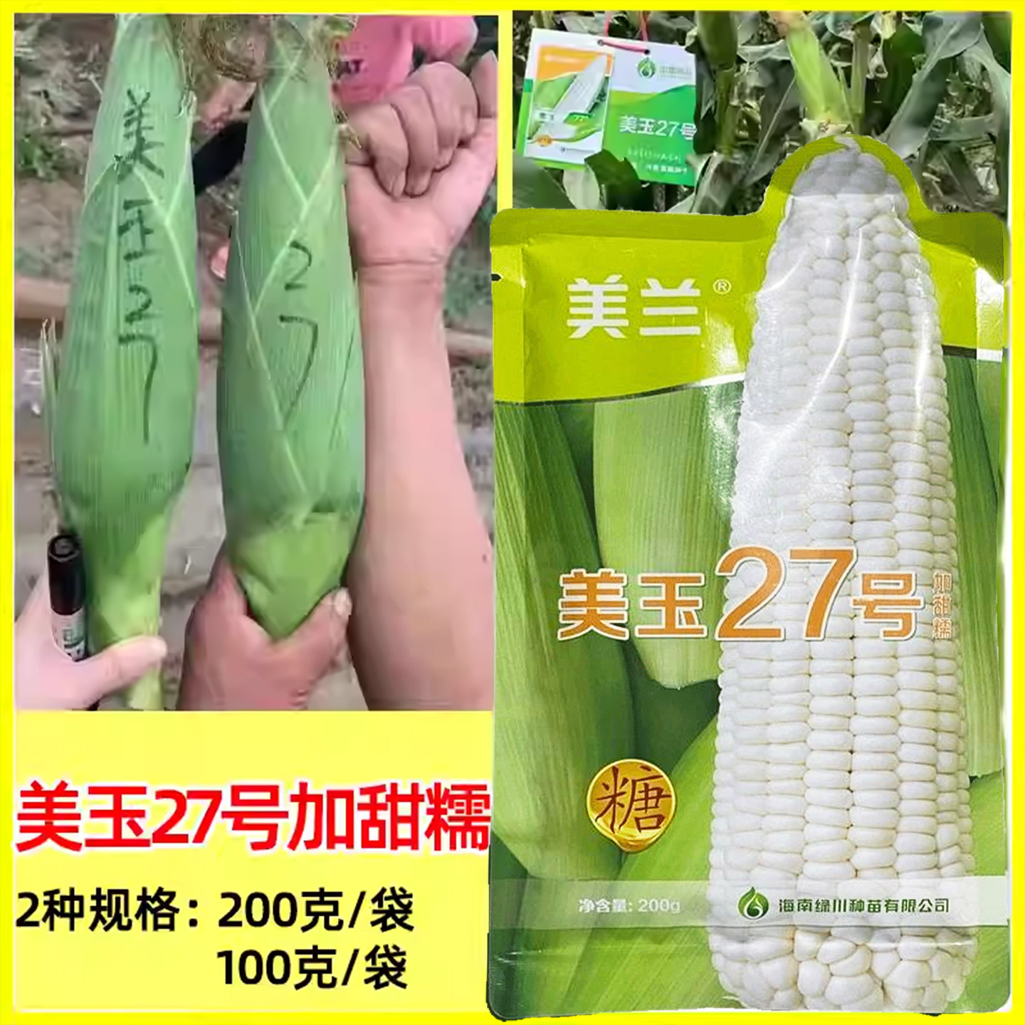 美兰美玉27号玉米种子加甜糯白糯鲜食玉米高产矮杆大棒北方玉米,农用物资,蔬菜种子/种苗,淘宝优惠券,粉丝福利购,淘宝优惠卷