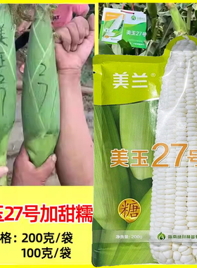 美兰美玉27号玉米种子加甜糯白糯鲜食玉米高产矮杆大棒北方玉米