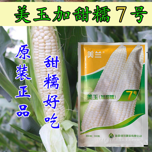 美兰美玉7号加甜糯玉米种子原装