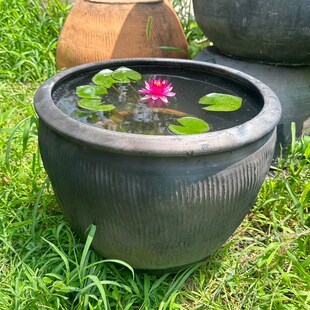 包邮老北京土陶鱼缸泥瓦盆养金鱼C荷花睡莲老盆大水缸釉客厅陶瓷