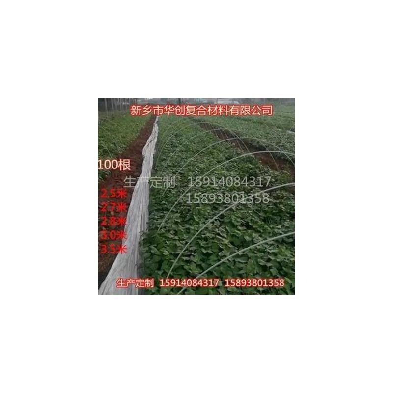 农用竿拱棚支架j地花卉小z.菜骨M架塑料蔬.杆暖苗育棚,农机/农具/农膜,温室大棚支架,淘宝优惠券,粉丝福利购,淘宝优惠卷