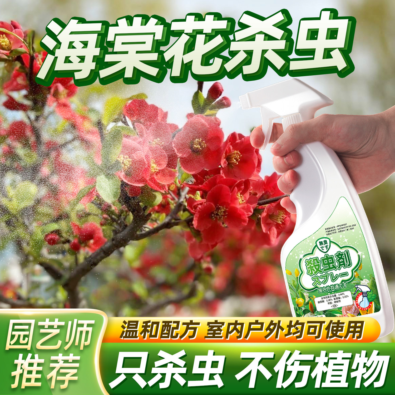 海堂花杀虫剂虫害长虫药图片