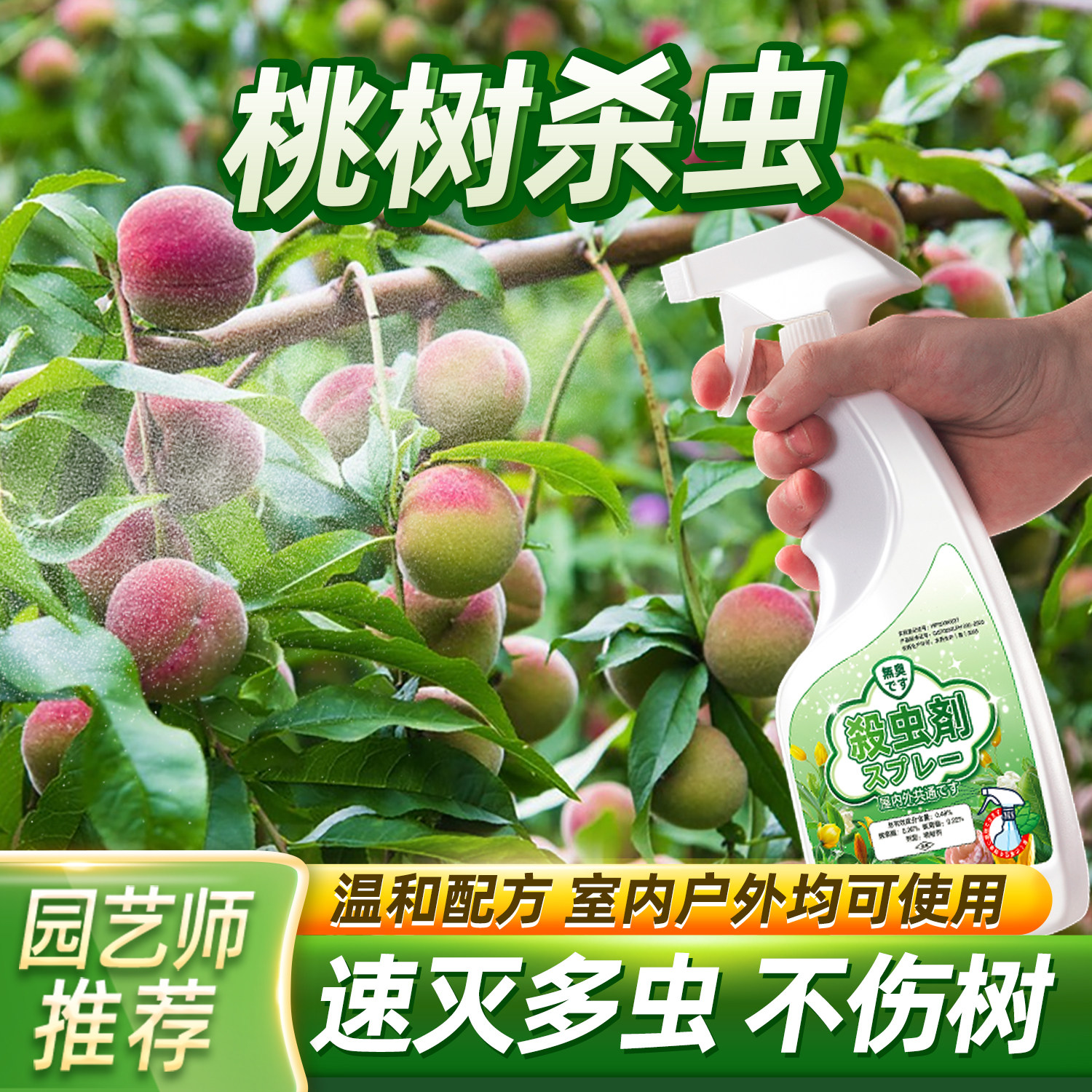 桃树驱虫药灭虫腻虫防虫黄桃虫子虫害桃子树长虫水蜜桃生转心药水