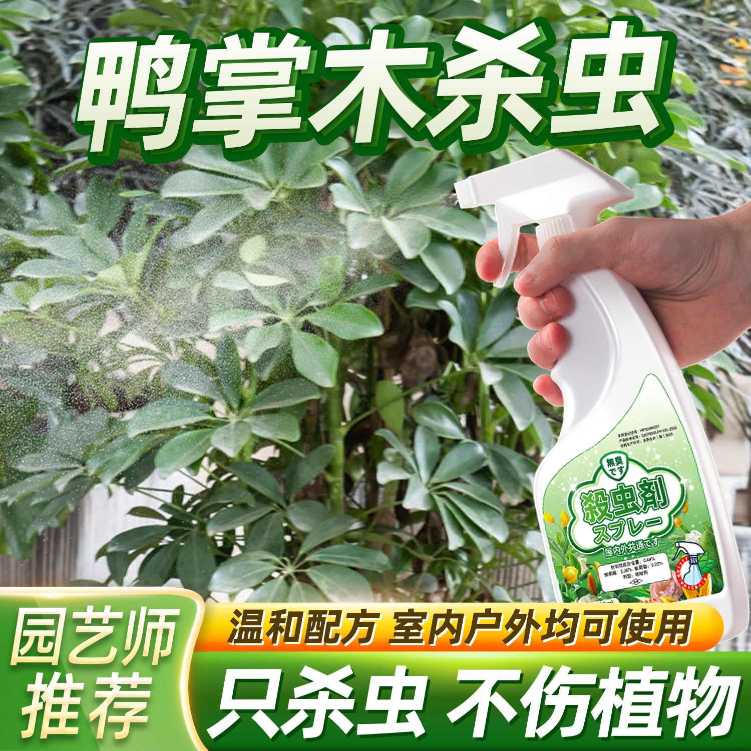 七叶莲杀虫剂鹅掌木除虫鸭脚木病虫害生蚜虫蚧壳虫药八方来财驱虫