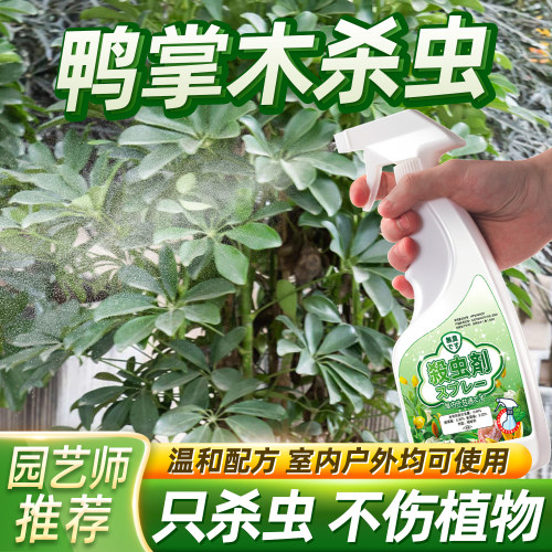 七叶莲鹅掌木虫害驱虫除虫药