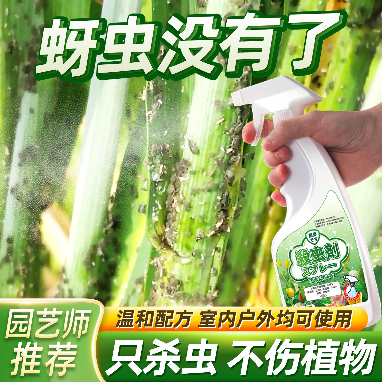 预防植物杀虫剂海棠花蚜虫去芽虫绿色灭牙虫杀果树药祛小麦专用小