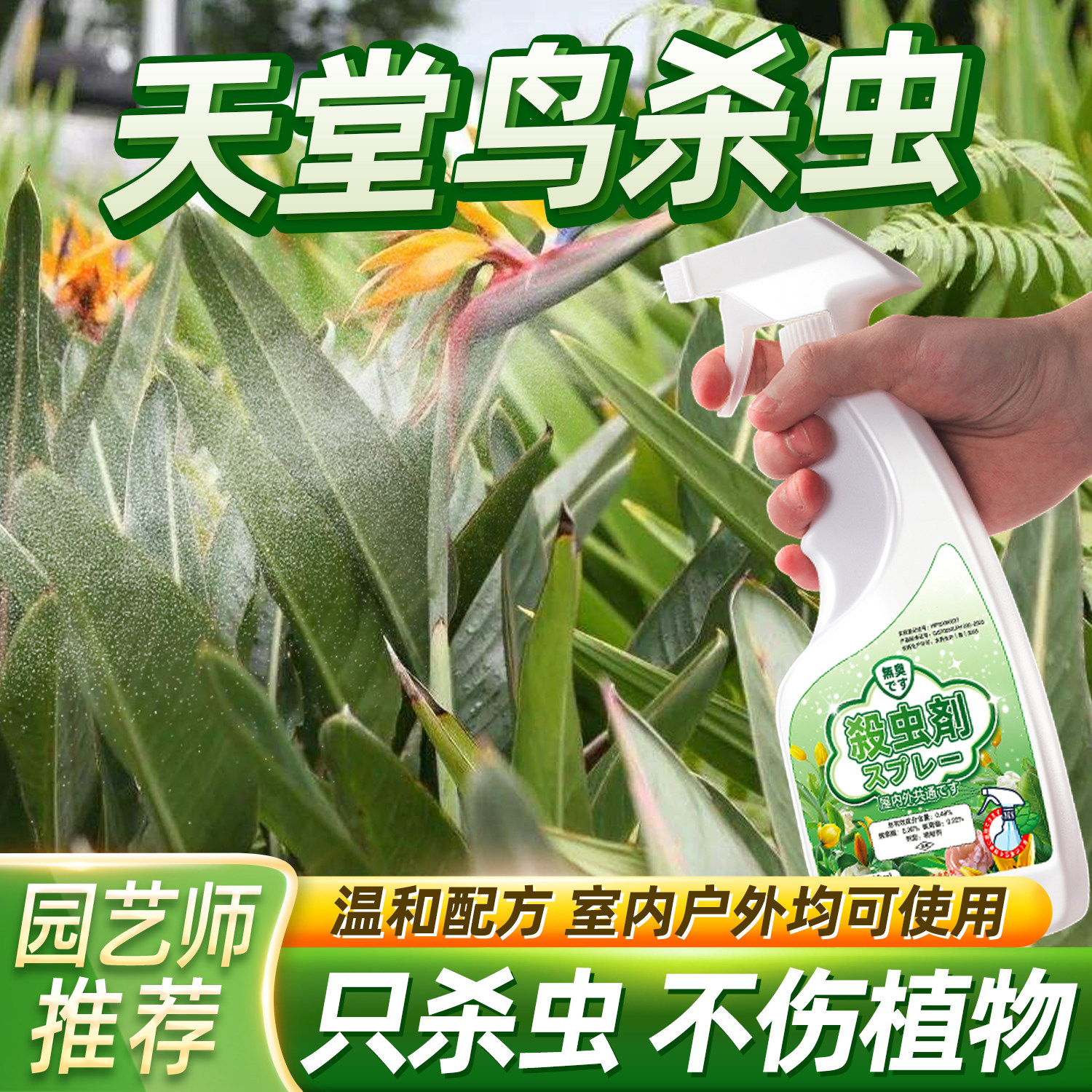 天堂鸟杀虫剂除虫驱虫生介壳打虫药长蚧壳虫专用鹤望兰灭虫子用药