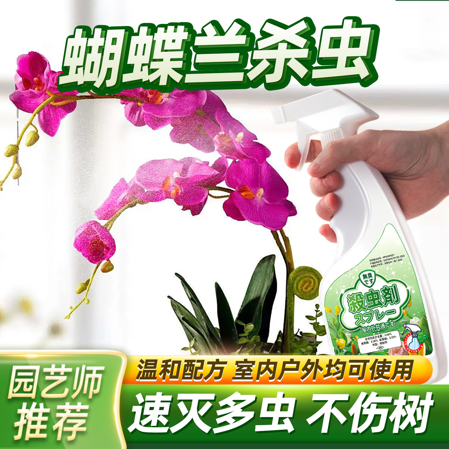 蝴蝶兰杀虫剂专用药除虫用药驱虫蚧壳虫介壳小黑飞虫子防虫非杀菌