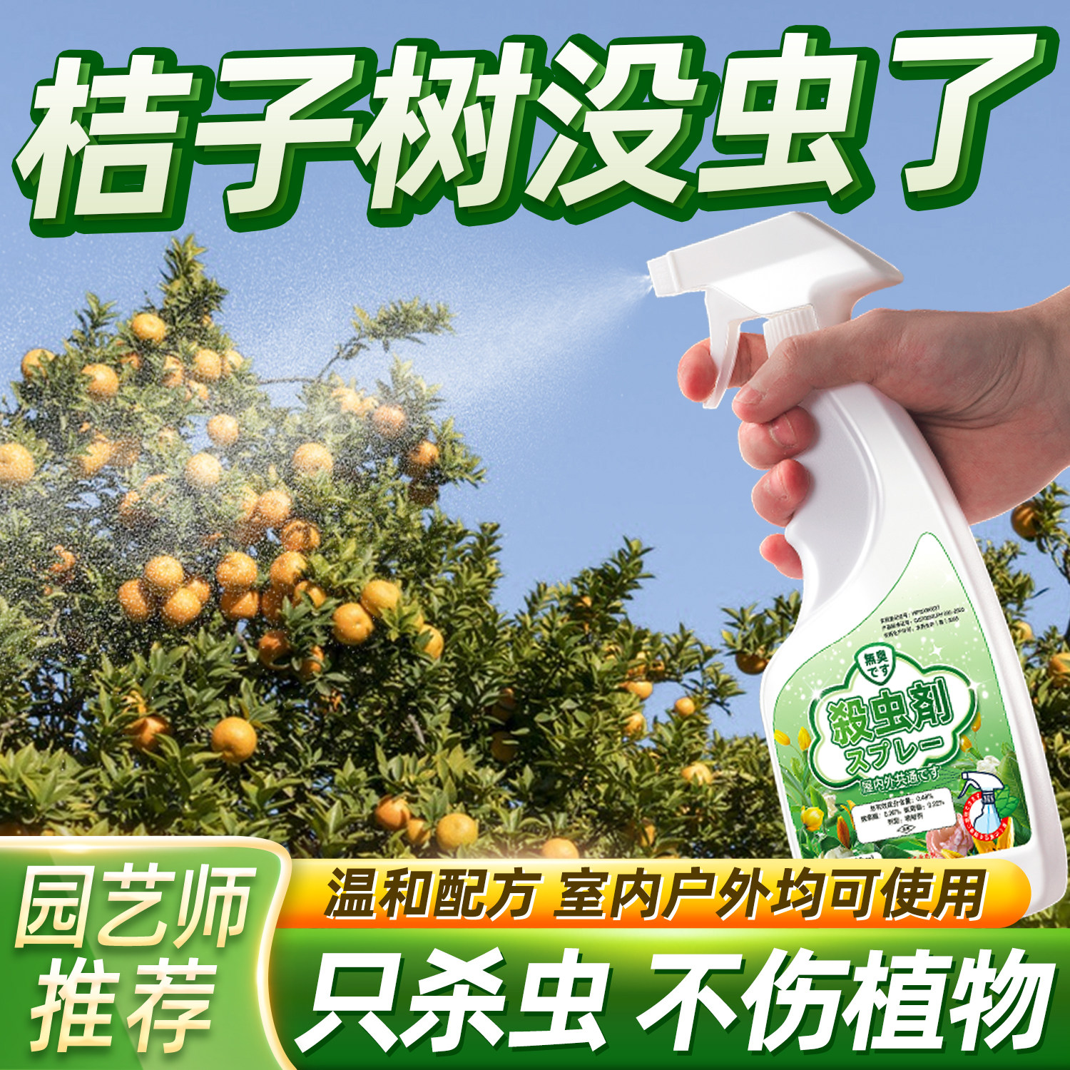 年桔杀虫剂药桔子树生虫桔树治虫药金桔虫子橘子金钱桔灭蚧壳虫杀