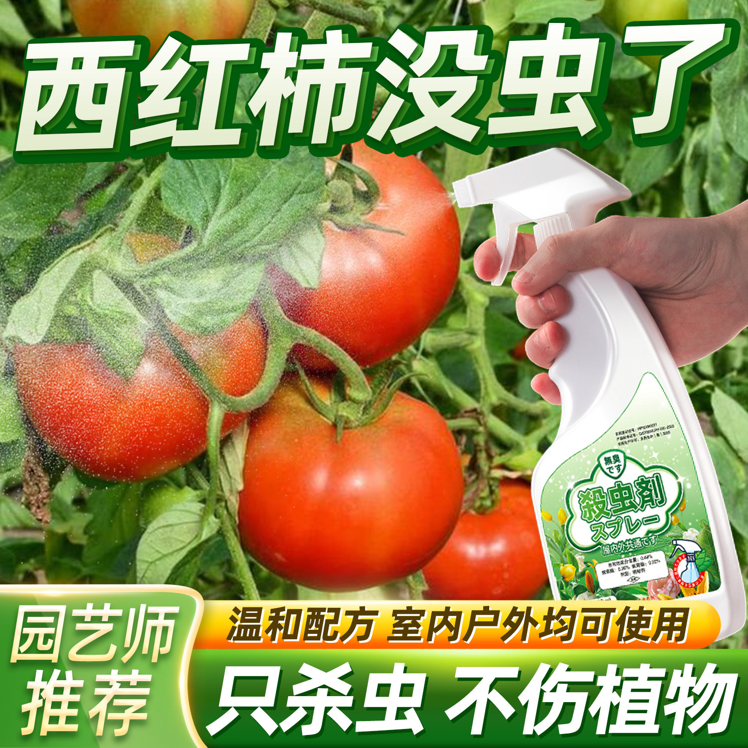 西红柿专用打虫药防小番茄用药杀虫剂虫除虫药防虫长虫驱虫非农药 - 实物图