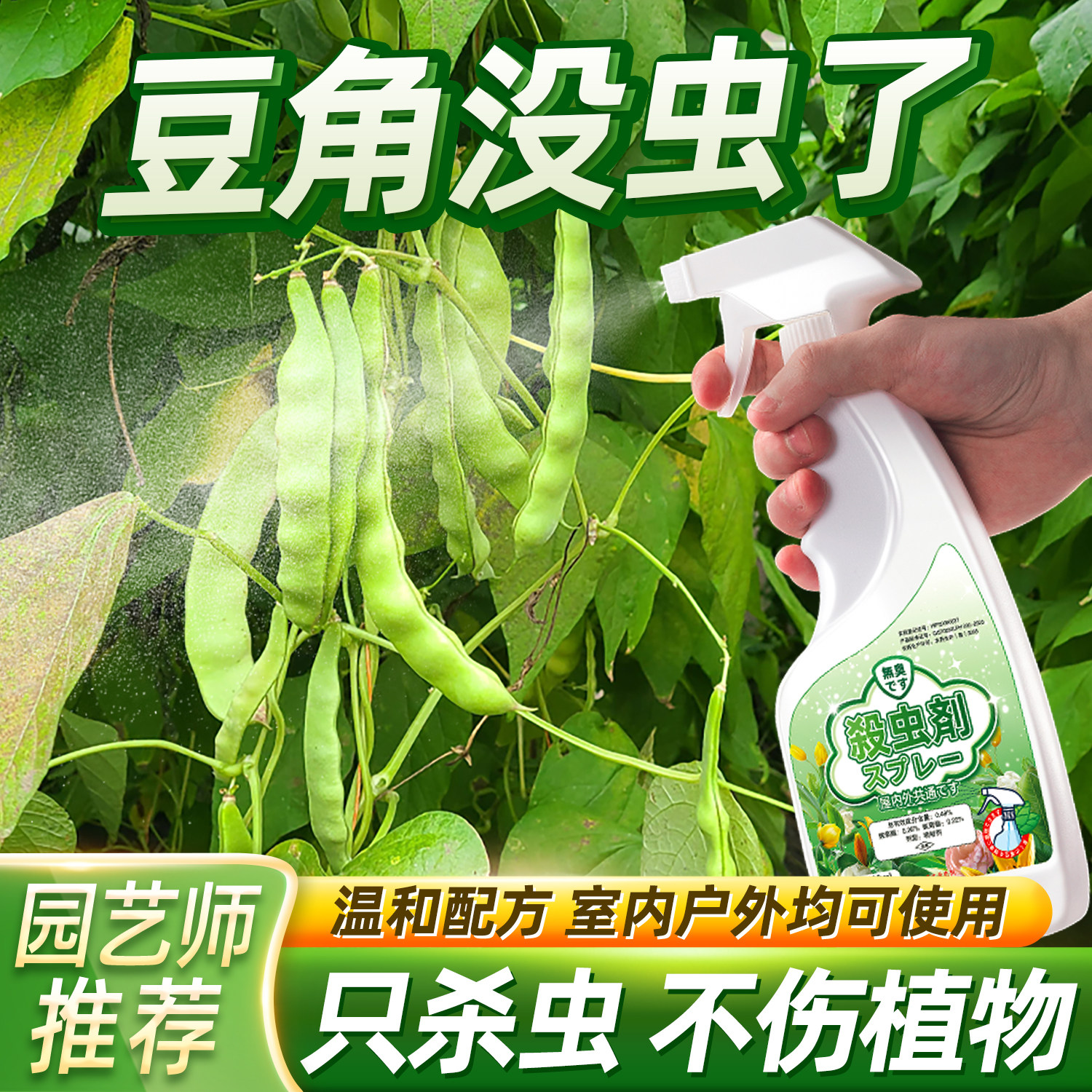 豆角专用杀虫剂除虫打虫药四季豆豇豆缸豆黄瓜虫药防虫非特效农药
