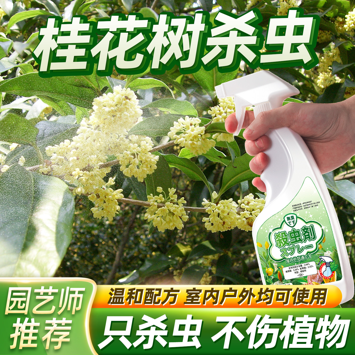 桂花树专用药杀虫剂除虫用药虫害蚧壳虫驱虫生虫子树虫非杀菌农药