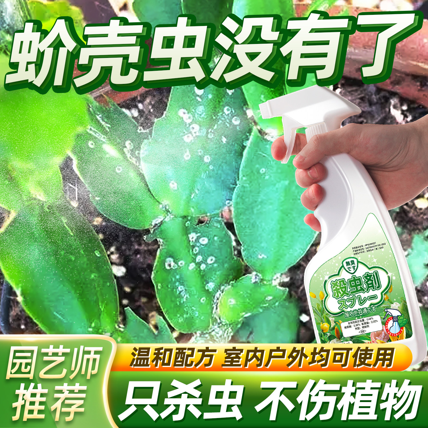 蚧壳虫杀虫剂杀粉蚧虫药多肉棉长寿花驱花卉刹幸福树介壳虫除