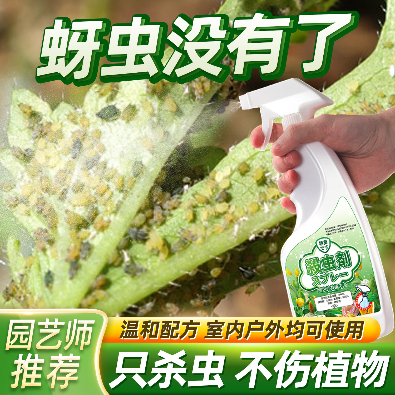白蚜虫药灭喷雾虫神器蚜油菜清除牙虫消杀芽虫喷剂专刹治灭杀消除