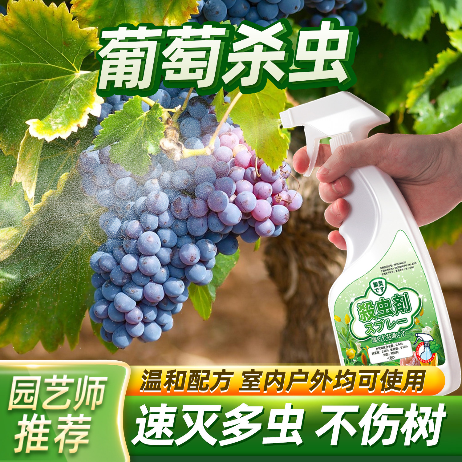 打葡萄树专用打虫药杀虫剂虫药除虫用药防虫驱虫治萄葡钻心非杀菌