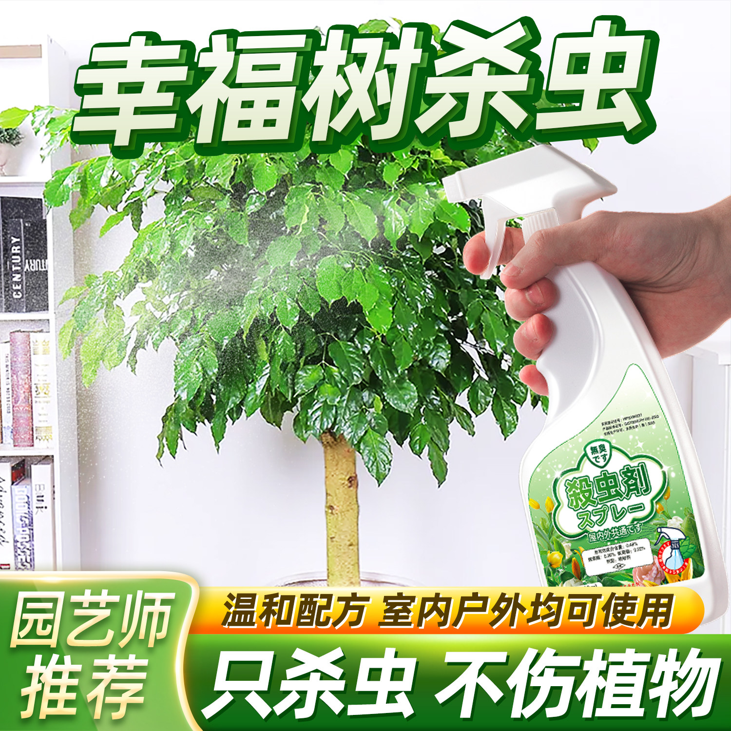 治幸福树去虫药杀虫剂家用室内辛福除发财招财驱虫药小黑飞蚧壳虫